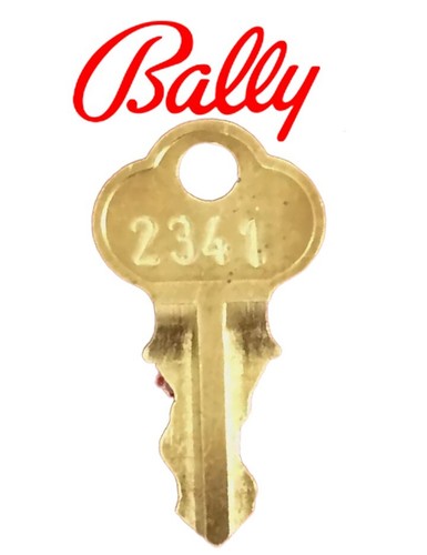 Slot machine reset key - key, 2341